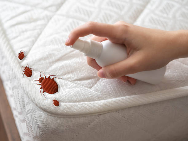 Best Organic or Eco-Friendly Pest Control  in Windsor, PA